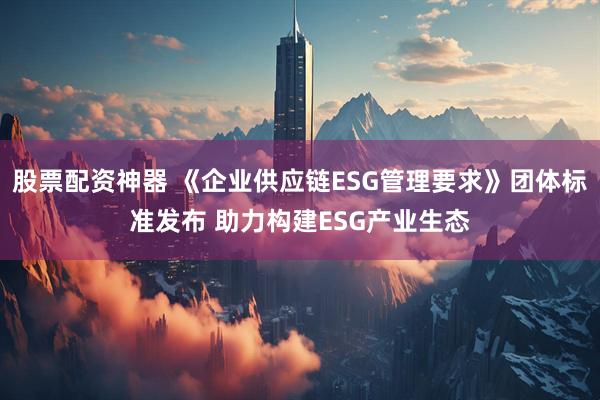 股票配资神器 《企业供应链ESG管理要求》团体标准发布 助力构建ESG产业生态