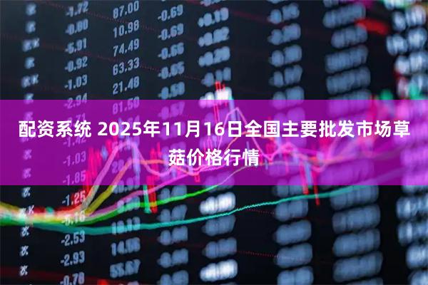 配资系统 2025年11月16日全国主要批发市场草菇价格行情