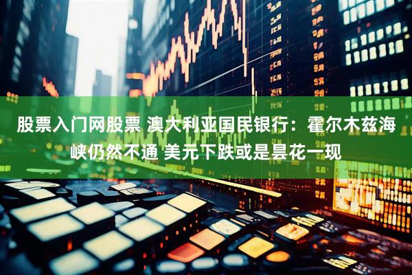 股票入门网股票 澳大利亚国民银行：霍尔木兹海峡仍然不通 美元下跌或是昙花一现