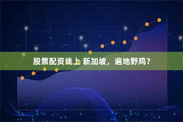 股票配资线上 新加坡，遍地野鸡？
